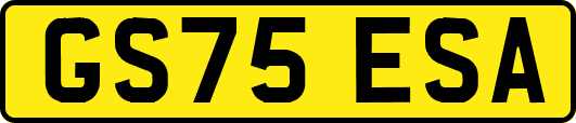 GS75ESA