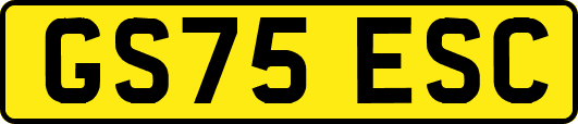 GS75ESC