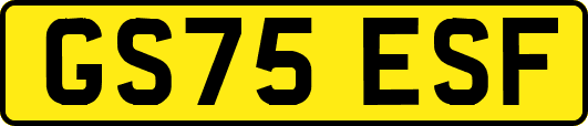 GS75ESF