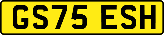 GS75ESH