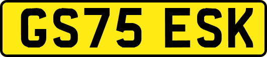 GS75ESK