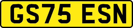 GS75ESN