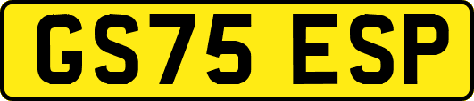 GS75ESP