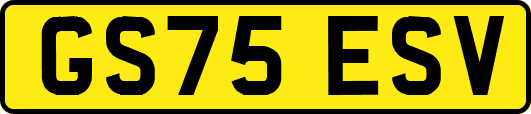 GS75ESV