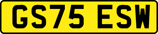 GS75ESW