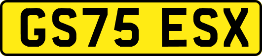 GS75ESX