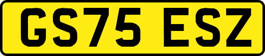 GS75ESZ