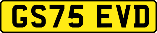 GS75EVD