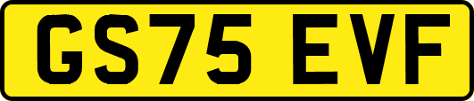 GS75EVF
