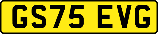 GS75EVG