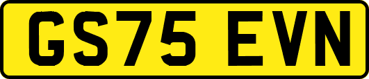 GS75EVN