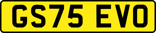 GS75EVO