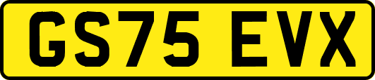 GS75EVX