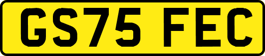 GS75FEC