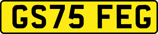 GS75FEG