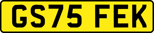 GS75FEK
