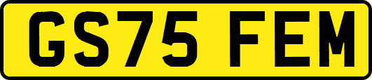 GS75FEM