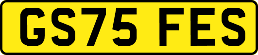 GS75FES