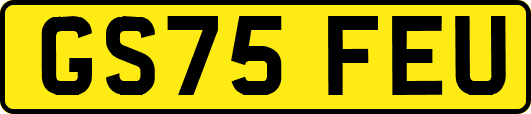 GS75FEU