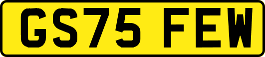 GS75FEW