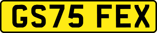GS75FEX