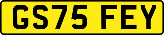 GS75FEY