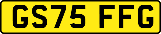 GS75FFG