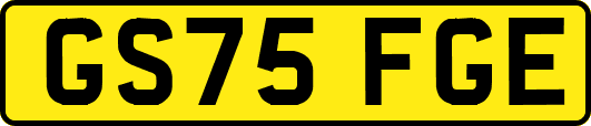 GS75FGE