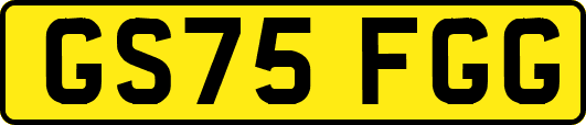 GS75FGG