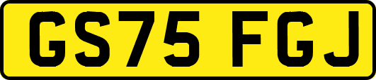 GS75FGJ
