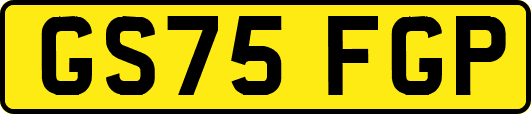 GS75FGP