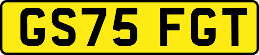 GS75FGT