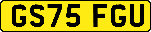 GS75FGU