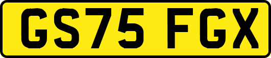 GS75FGX