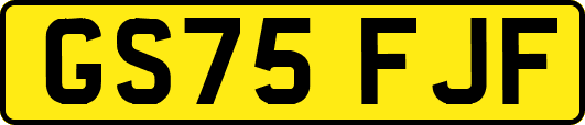 GS75FJF