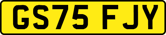 GS75FJY
