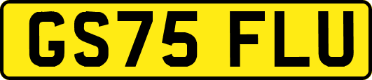GS75FLU