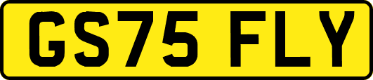 GS75FLY