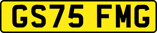 GS75FMG