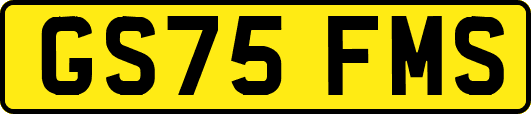 GS75FMS