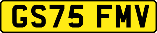 GS75FMV