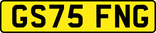 GS75FNG