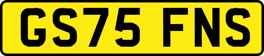 GS75FNS