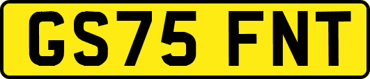 GS75FNT