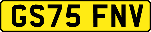 GS75FNV