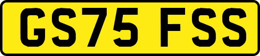 GS75FSS