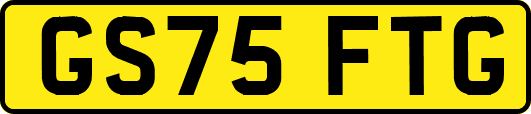 GS75FTG