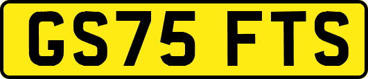 GS75FTS