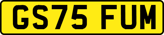 GS75FUM