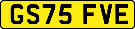 GS75FVE